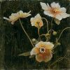 John Douglas art print