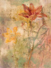 Dysart art print