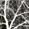 Linda Wood art print