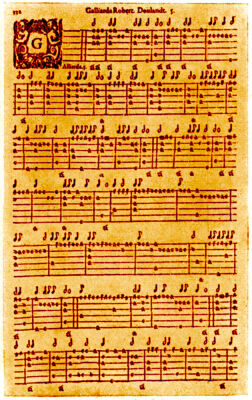 Testudo Gallo-Germanica by Georg Leopold Fuhrmann