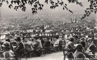 View over Vienna