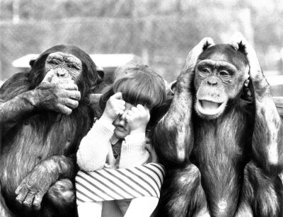 Speak no evil, see no evil, hear no evil