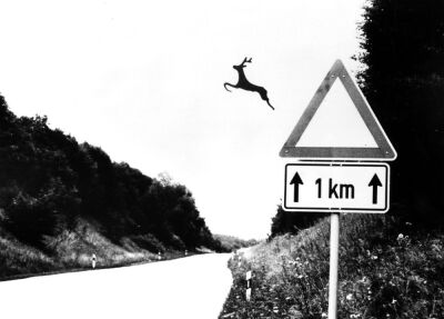 Deer leaping off a deer crossing sign