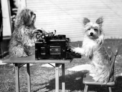 Two dogs typing on a typewriter