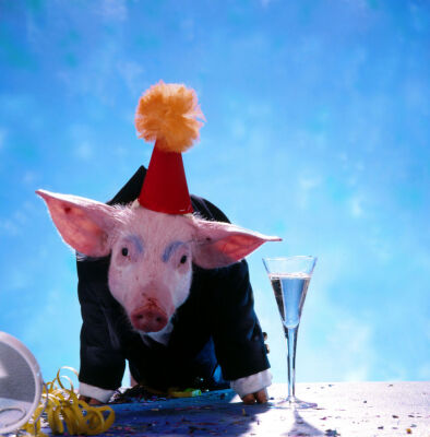 Pig wearing a suit and hat on a table