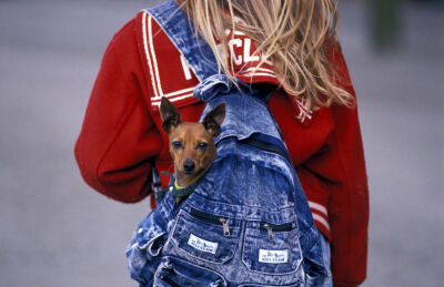 Girl with a dog in her backpack