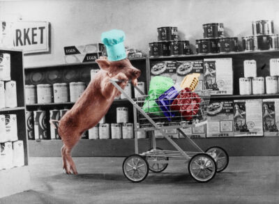 Pig going shopping for pork products