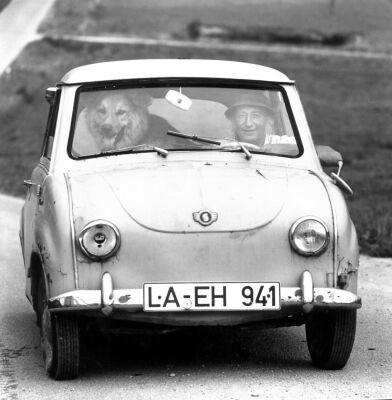 Man and dog in a small car