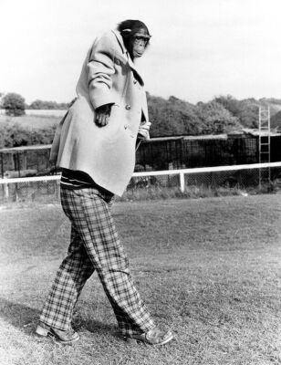 Very tall chimp in man's clothes