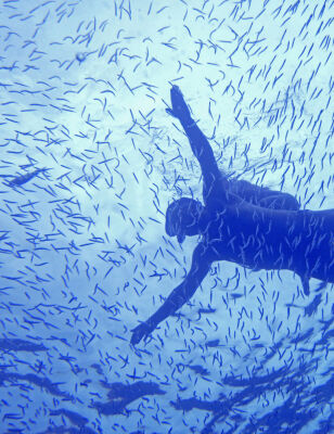 MR Dahab - diver at the 'Blue Hole'