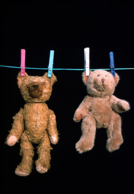 Freshly-washed teddy bears hanging out to dry