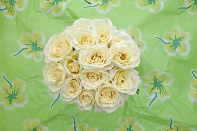 White bunch of roses