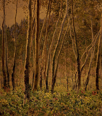 Sunlit Birches