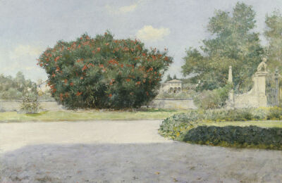 The Big Oleander