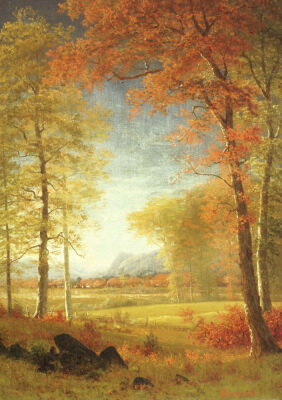 Autumn In America, Oneida County, New York