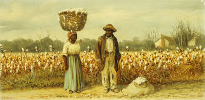 The Cotton Pickers