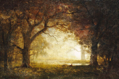 Forest Sunrise