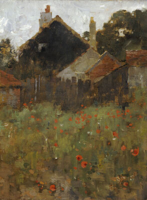 The Poppy Field