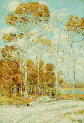 The Hawk's Nest, 1904.