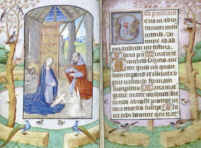 Nativity, The Virgin And Joseph Adoring The Child