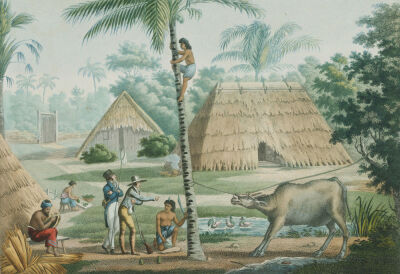 Timor Island, Indonesia; A View In The Vicinity Of Coupang, 1817