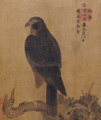 Falcon On A Pine Limb, Emperor Xuande