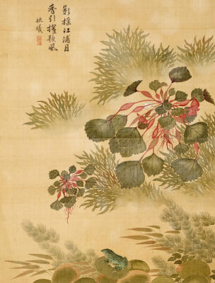 Water Caktrios And Frog, 1702