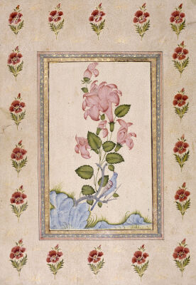 Bird And Flower Study, Mughal India