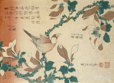 A Paddy Bird Perched On A Flowering Magnolia Branch From The Series 'Small Flowers'