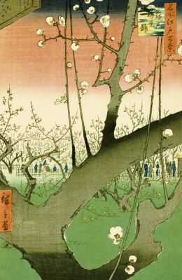 Plum Garden, Kameido