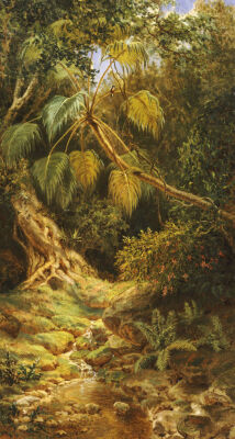 Jungala Cubana, 1880