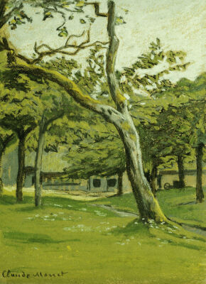 An Orchard