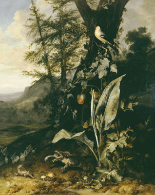 Forest Floor With A Toad And A Lizard, A Bullfinch On A Branch Of Ivy