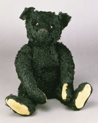 Black Teddy Bear