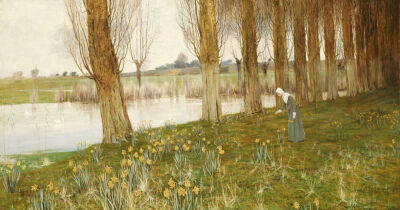 The Amber Vale, A Host Of Golden Daffodils