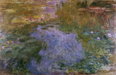 Waterlilies