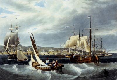 View Of New York Quarantine, Staten Island