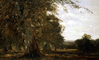 Windsor Woods