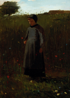 The Flowers Of The Field