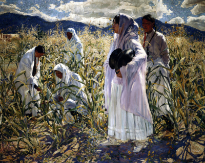Indian Corn, Taos