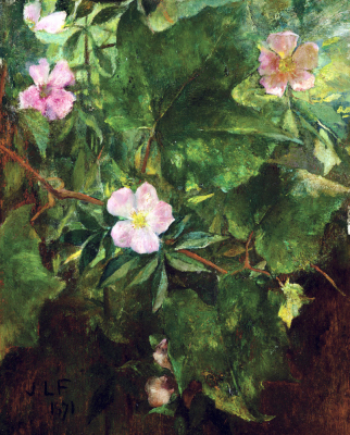 Wild Rose And Grape Vine, Study From Nature