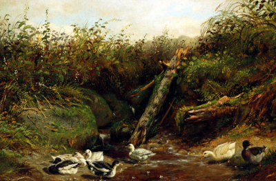 Ducks At A Brook