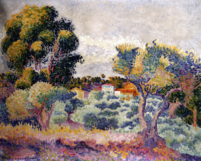 Eucalyptus And Olive Grove