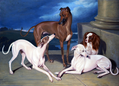 Whippets And A King Charles Spaniel On The Steps Of A Country House