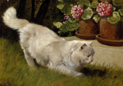 A White Persian Cat With A Ladybird