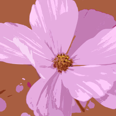 The Essence of Flowers 52