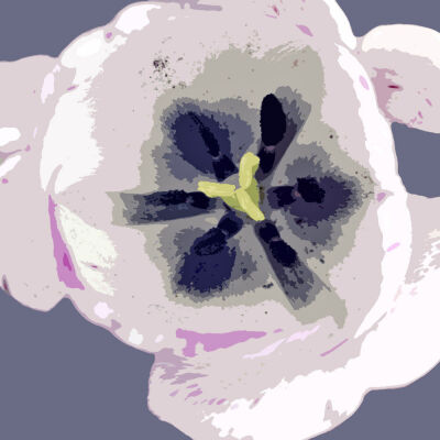The Essence of Flowers 15