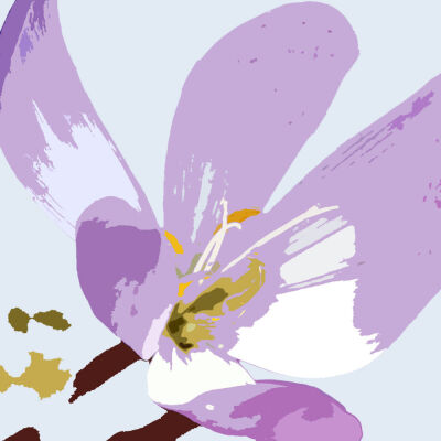 The Essence of Flowers 55