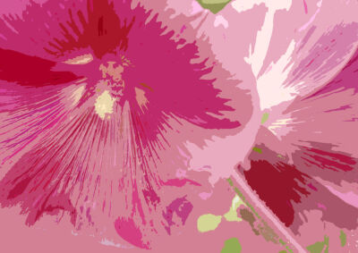 The Essence of Flowers 56
