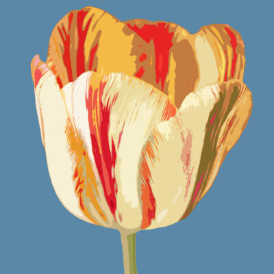 The Essence of Flowers 75